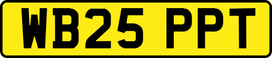 WB25PPT