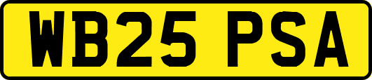 WB25PSA