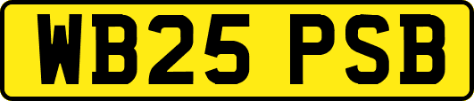 WB25PSB