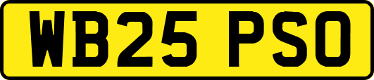 WB25PSO