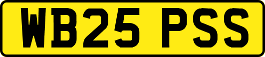 WB25PSS