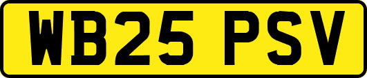 WB25PSV