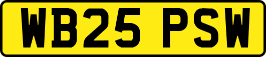 WB25PSW