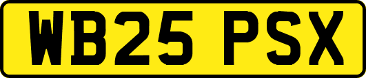 WB25PSX