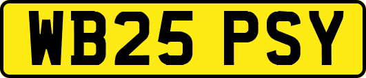 WB25PSY