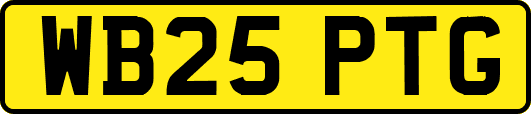WB25PTG