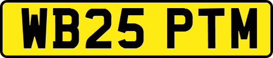 WB25PTM