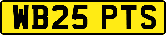 WB25PTS
