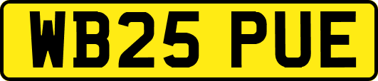 WB25PUE