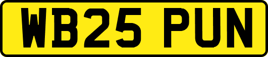 WB25PUN