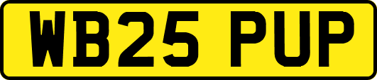 WB25PUP