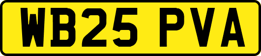 WB25PVA