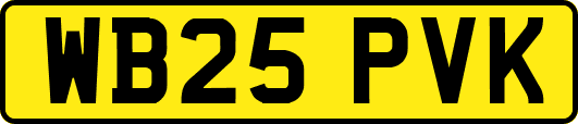WB25PVK
