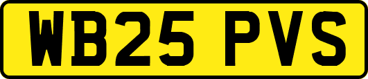 WB25PVS