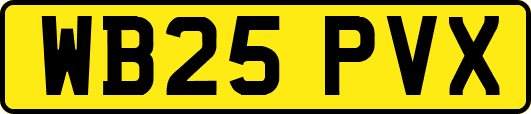 WB25PVX