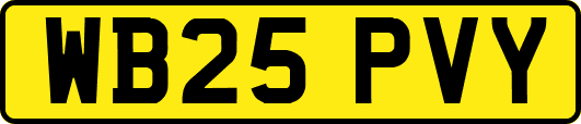WB25PVY
