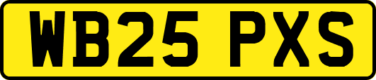 WB25PXS