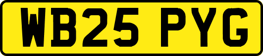 WB25PYG