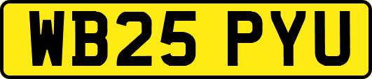 WB25PYU