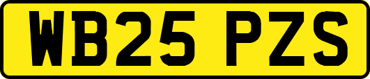 WB25PZS