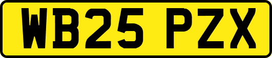 WB25PZX