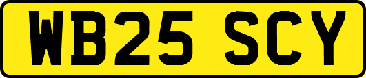 WB25SCY