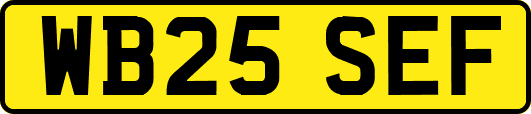 WB25SEF