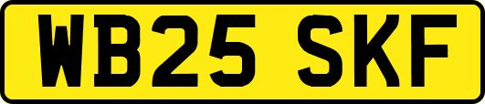 WB25SKF
