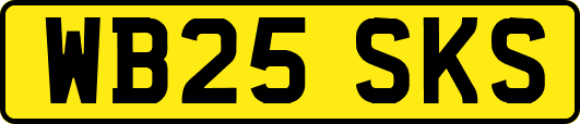 WB25SKS