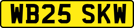 WB25SKW
