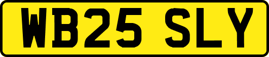 WB25SLY