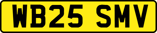 WB25SMV