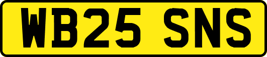 WB25SNS