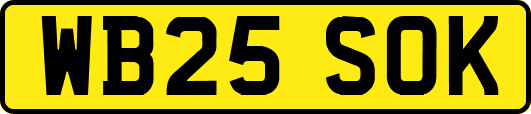 WB25SOK