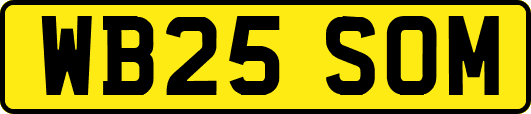 WB25SOM