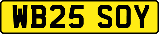 WB25SOY