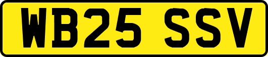WB25SSV