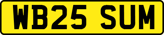 WB25SUM