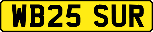 WB25SUR