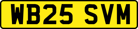 WB25SVM