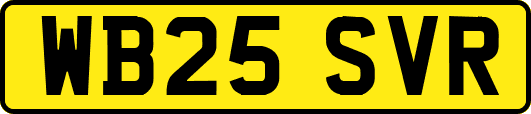 WB25SVR