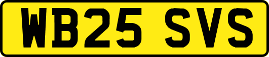 WB25SVS