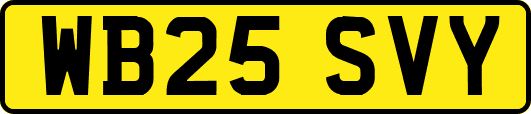 WB25SVY