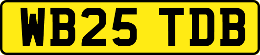 WB25TDB