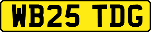 WB25TDG