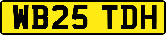 WB25TDH