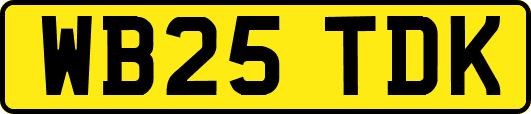 WB25TDK