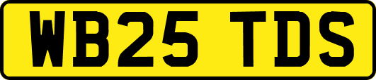 WB25TDS