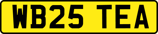 WB25TEA