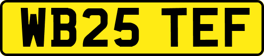 WB25TEF